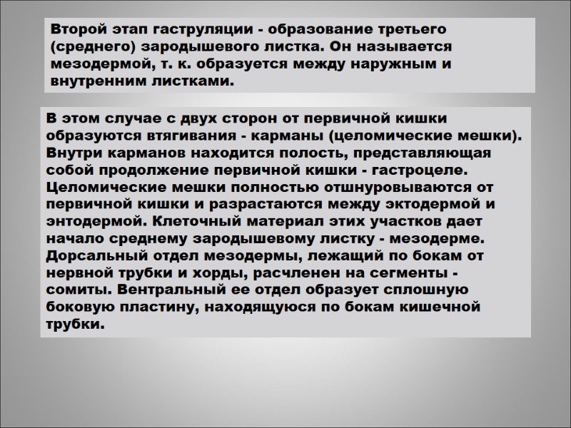 Второй этап гаструляции - образование третьего (среднего) зародышевого листка. Он называется мезодермой, т. к.